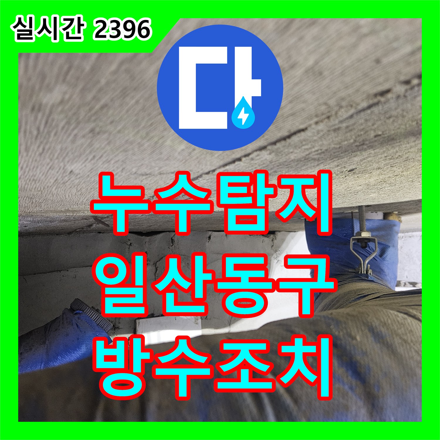 누수탐지 화장실 바닥 방수층 결함으로 인한 아래층 누수를 정밀하게 진단하고 조치한 경기 고양시 일산동구 장항동 사례