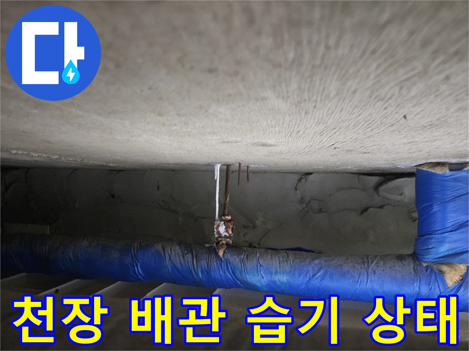 아랫집-천장-배관-주변의-습기-및-오염-상태