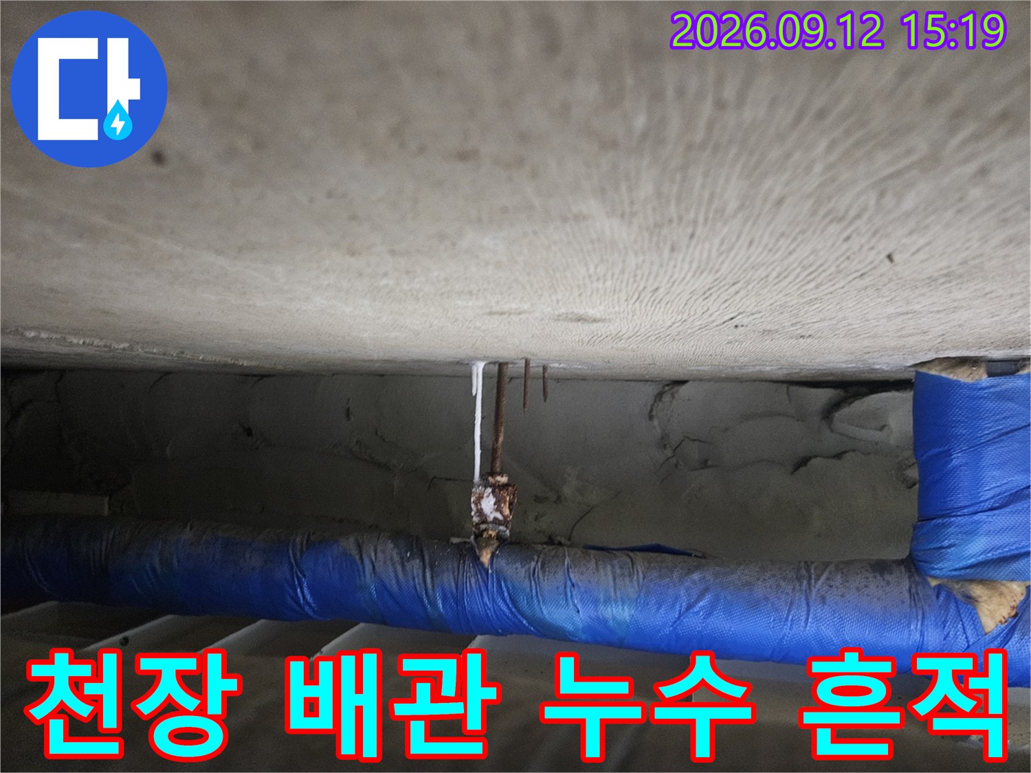 일산 장항동 아파트-아래층 천장 배관 주변의 젖은 흔적과 습기 상태를 보여주는 사진입니다.