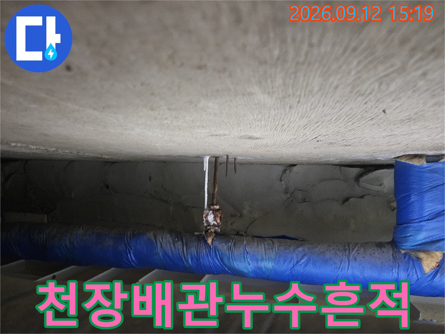 일산동구-아래층-천장-배관-주변의-젖음-현상과-누수-흔적