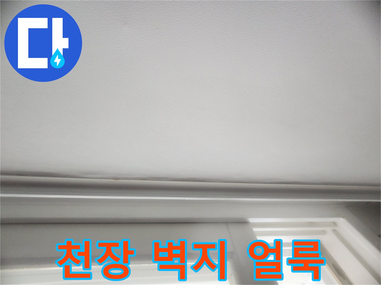 물기에 젖은 천장 마감재 부위 - 누수 피해 범위 점검