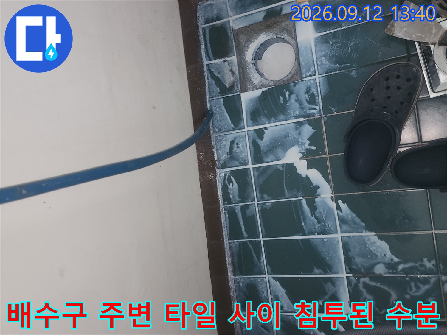 세탁실 유가-배수구 주변 타일 틈새로 물이 스며든 모습