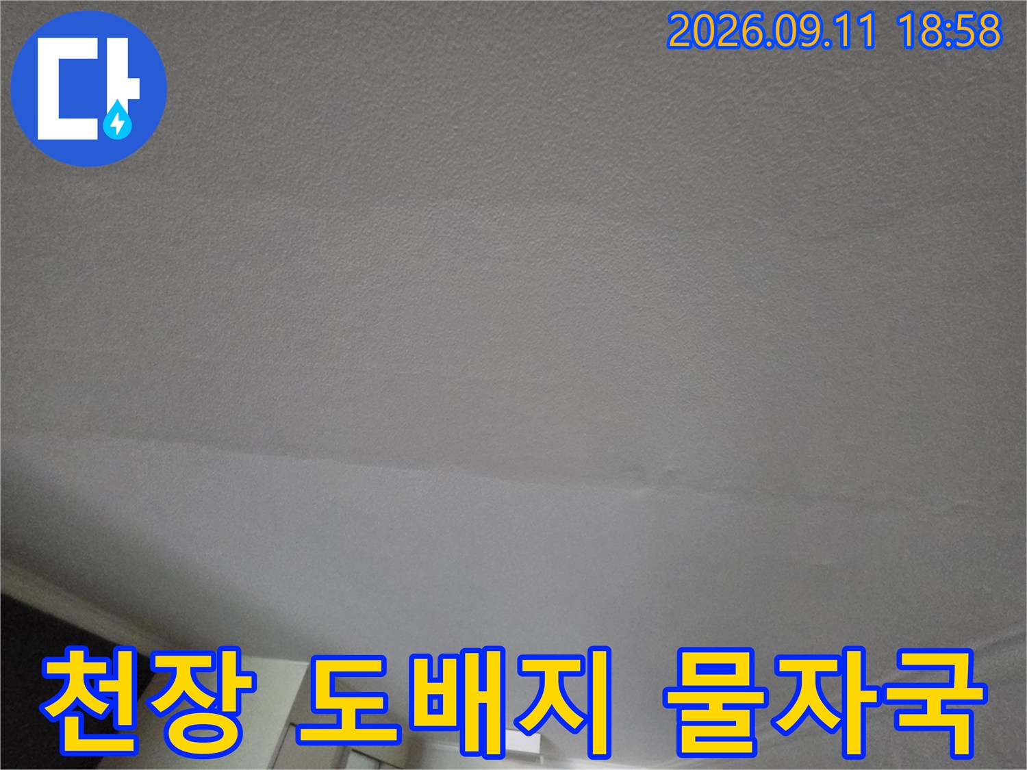 천장 마감재 곳곳에 퍼져 있는 누수로 인한 얼룩과 습기 흔적을 촬영한 모습입니다.