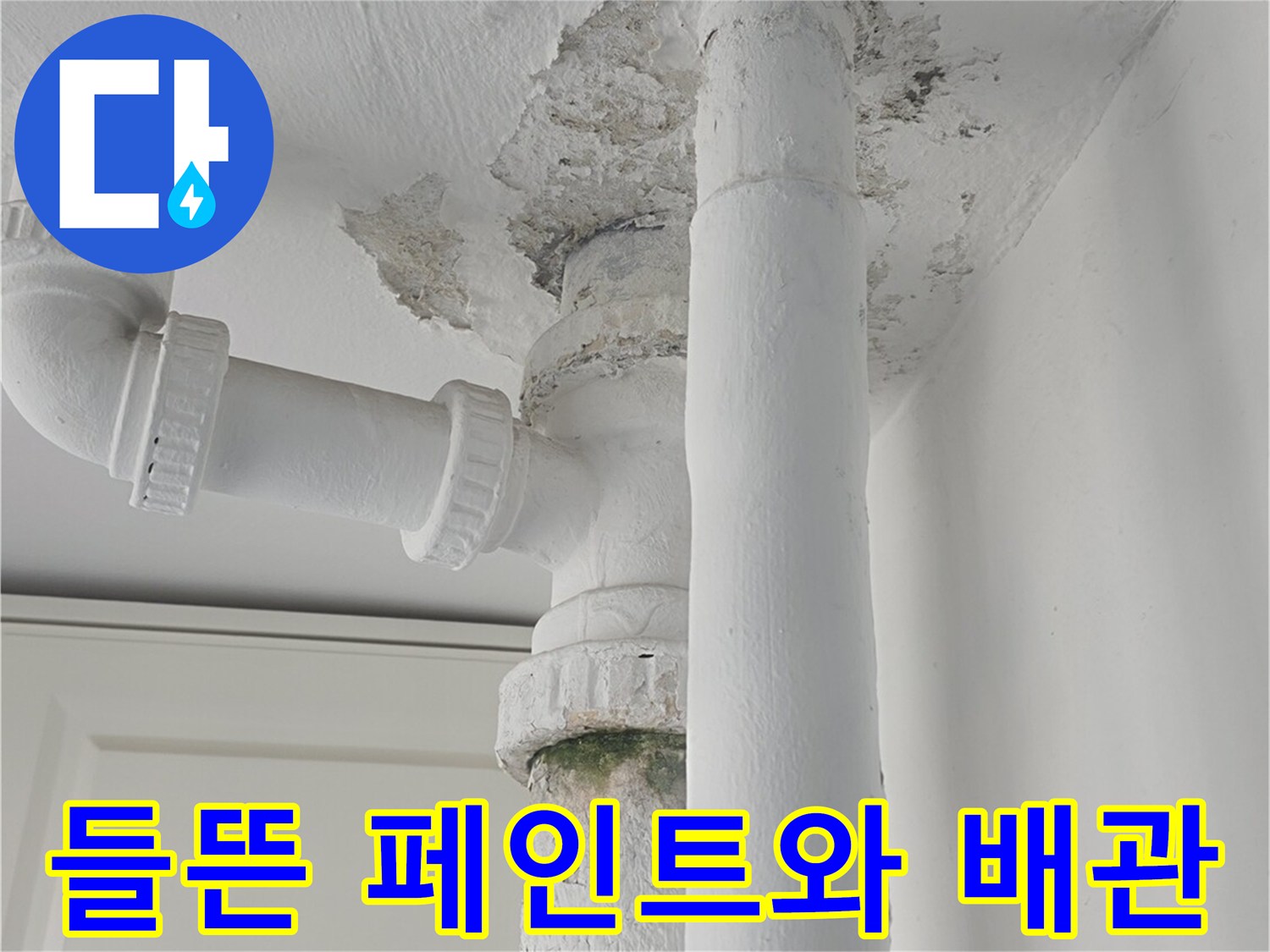 배관-주변의-부풀어오른-페인트층