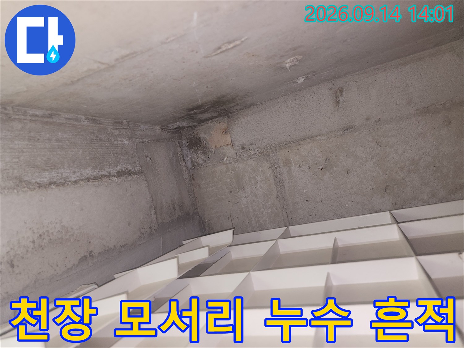 욕실 천장 구석의 젖은 콘크리트와 물자국 현황