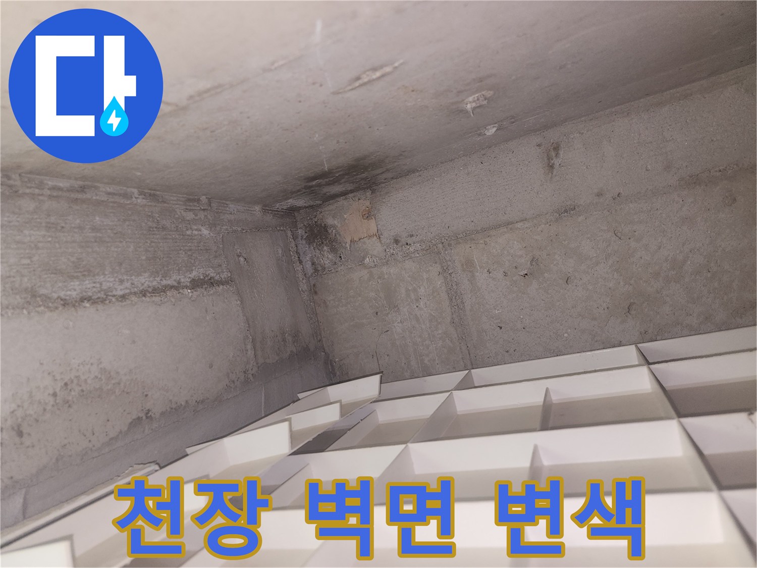 천장-구석의-어두운-변색-부분