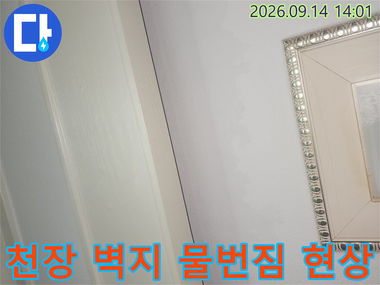 천장 마감 부근에 나타난 짙은 색의 누수 침투 자국입니다.