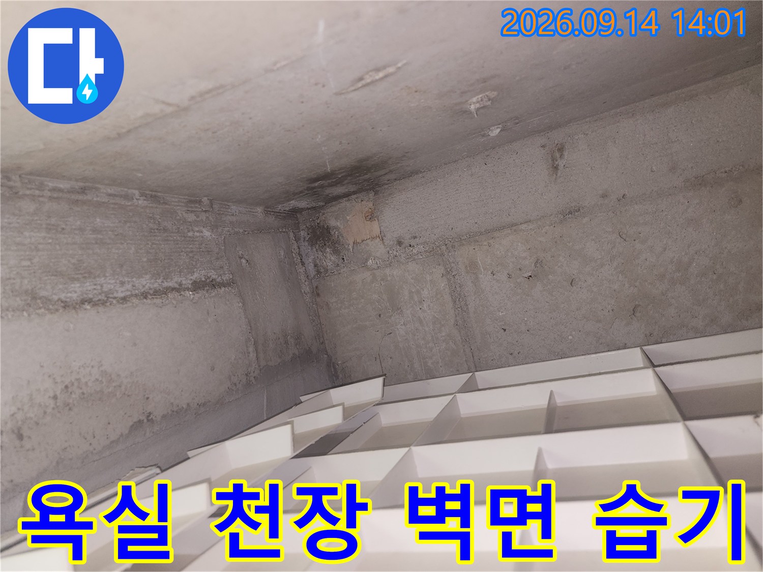 천장 모서리 부근의 젖은 듯한 어두운 얼룩과 습기 흔적