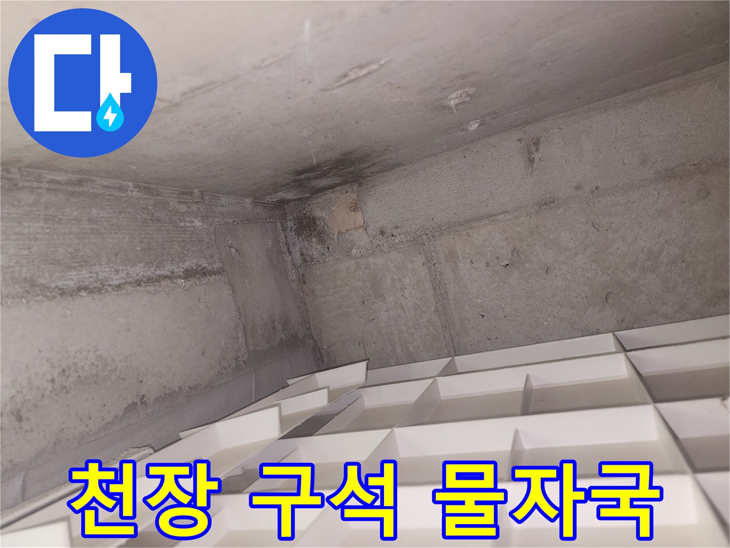 화장실 내부 천장과 벽면 경계의 젖은 자국 및 얼룩