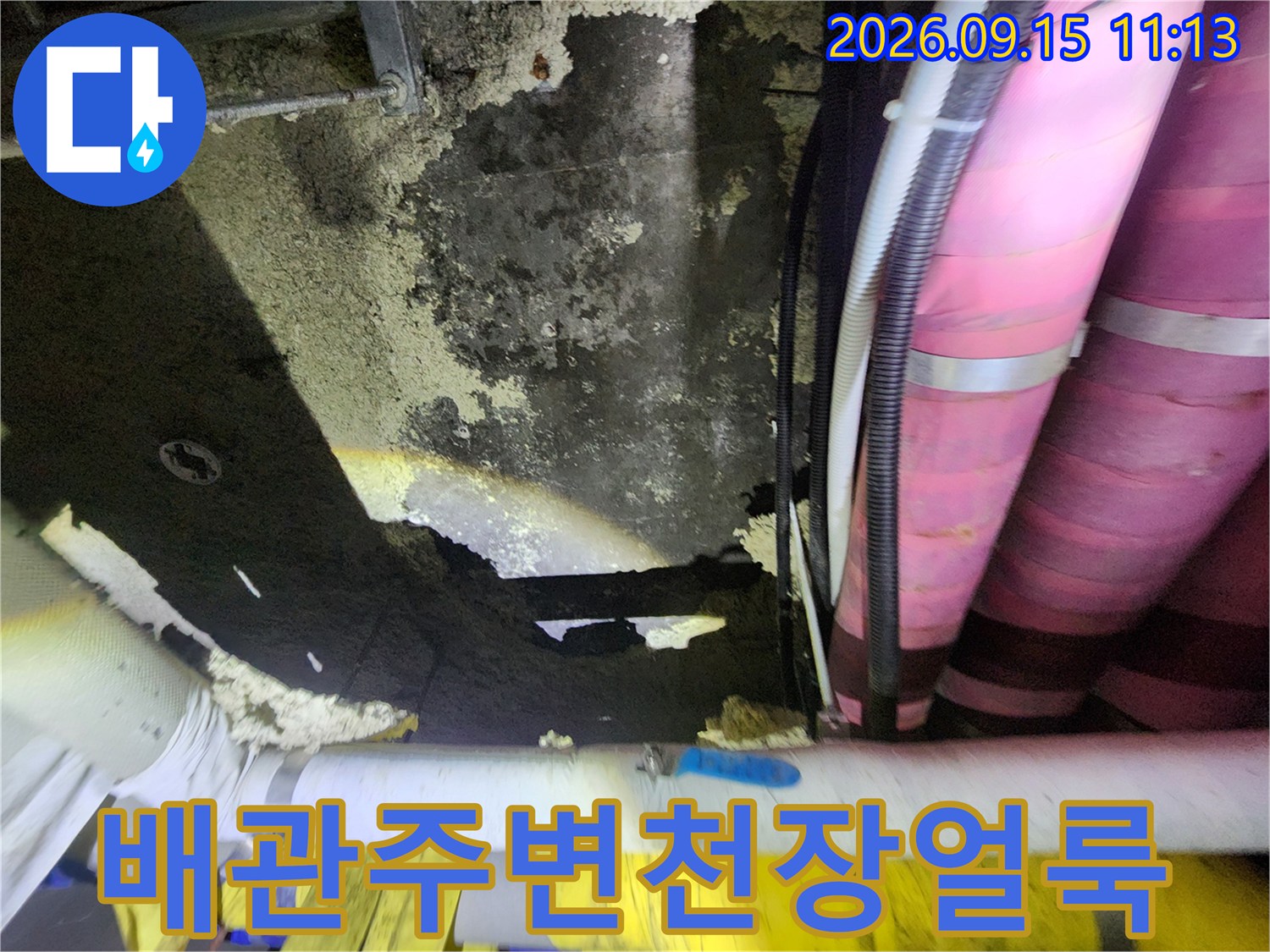 분홍색-배관과-오염된-천장-표면의-근접-사진