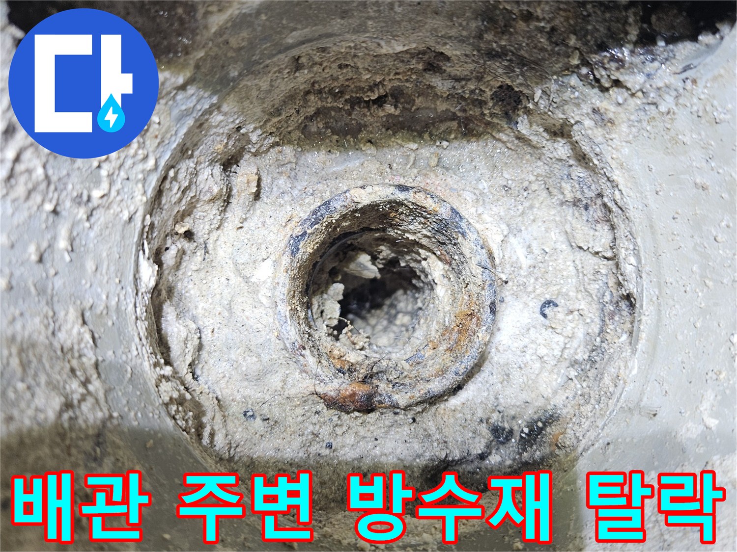 욕실-배수구-내부의-방수층-파손-현황