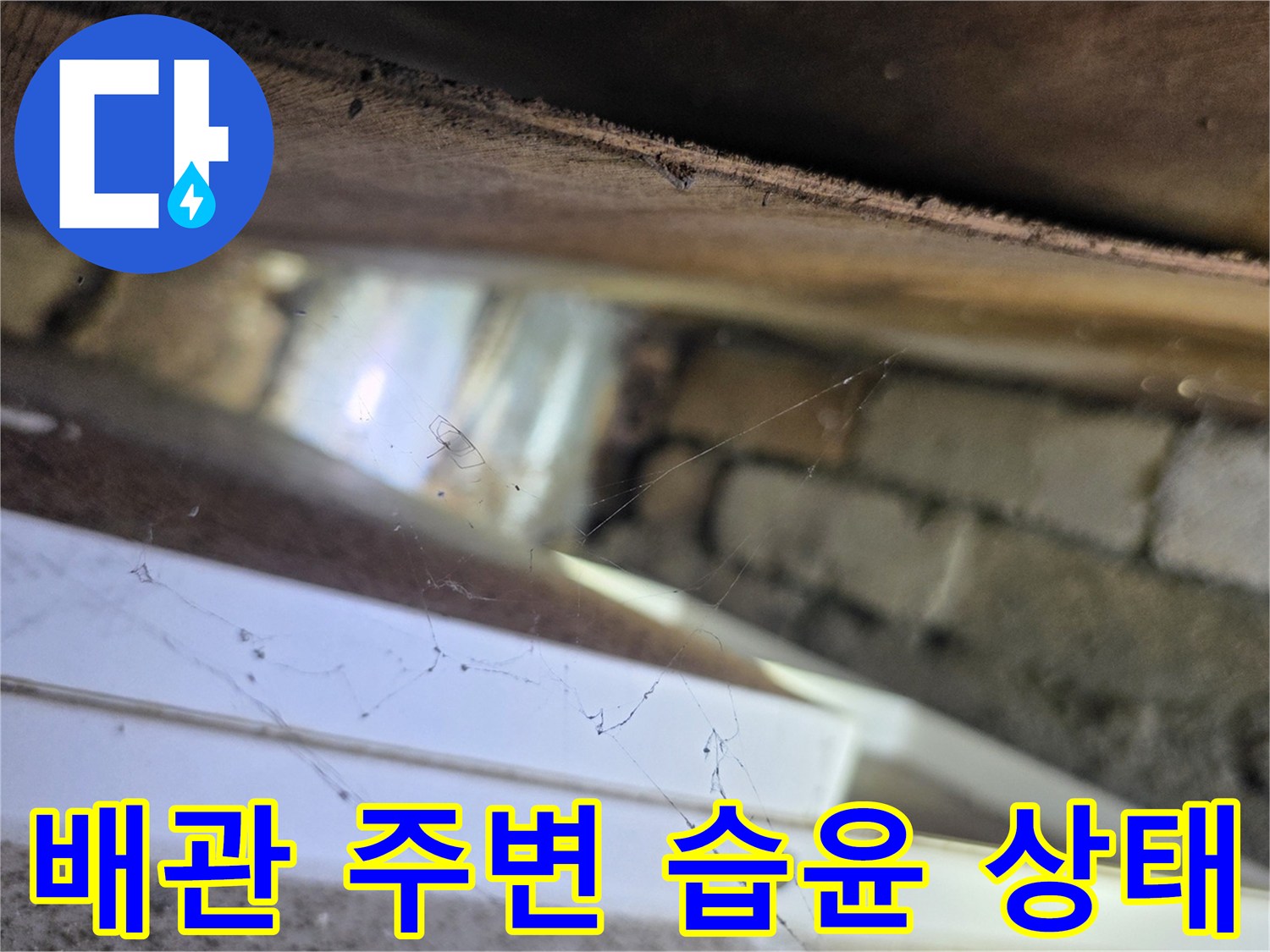 천장 내부 공간-축축하게 젖어 있는 배관 부근의 모습입니다.