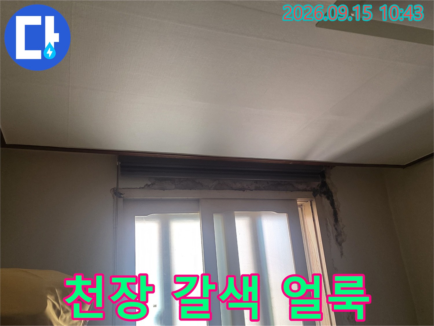 천장 마감재에 발생한 갈색 누수 흔적을 근측에서 촬영하였습니다.