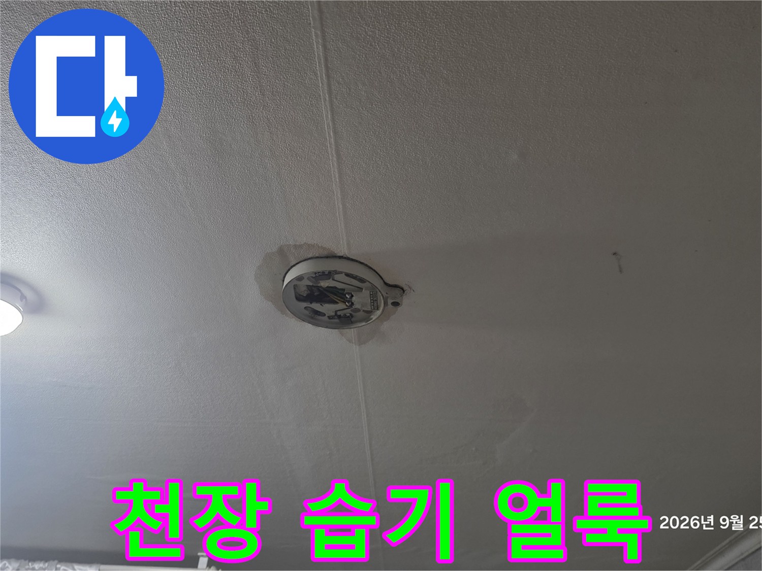 물샘으로 인해 어둡게 변한 천장 마감재 부위
