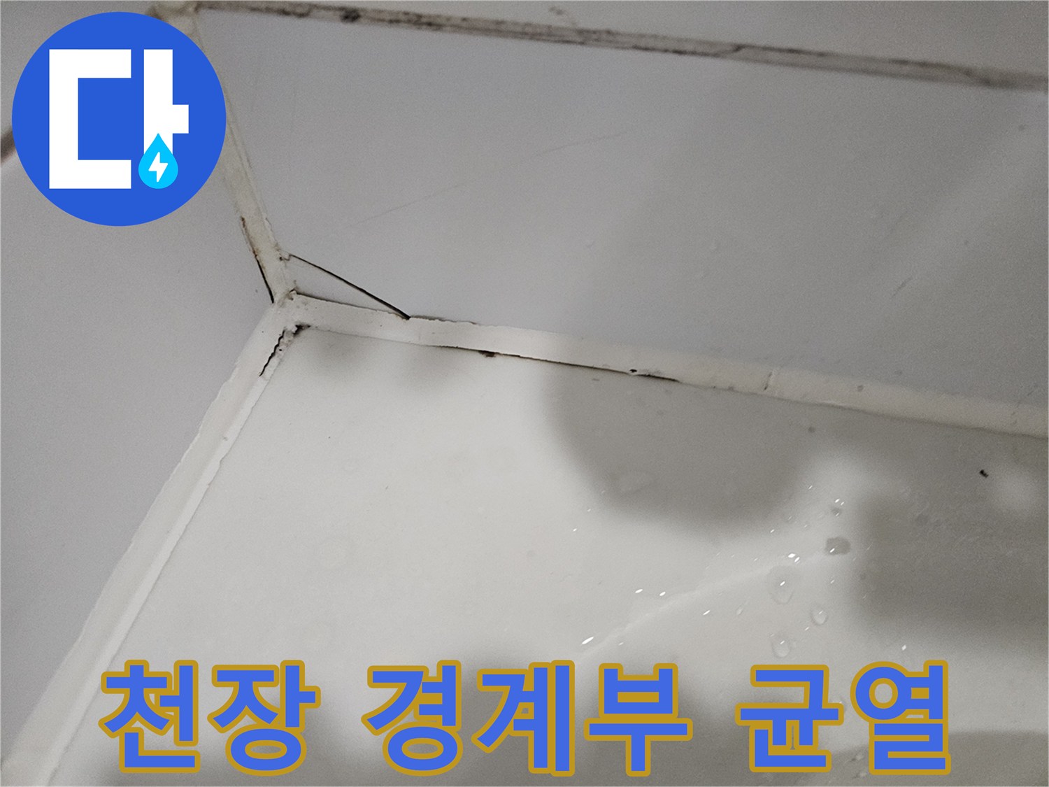 벽면과 천장의 경계선에 보이는 틈새와 습윤한 상태의 사진